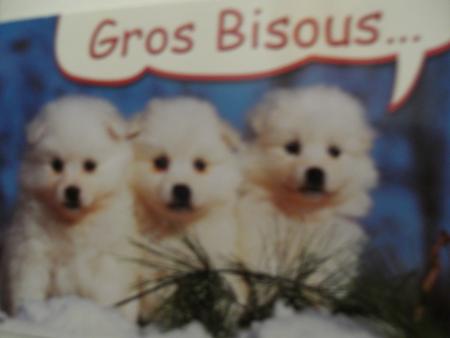 gro gro bisouxx a tt le mnde
