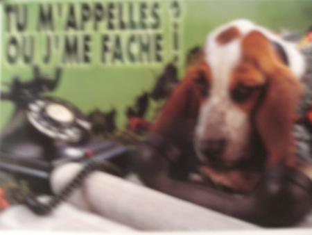 tu mapel ou jme fache!!(ca cé pr borja!!lol!!)