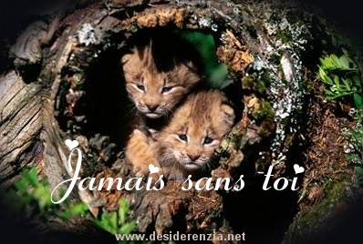ou pluto jamé san vs!!je vs aime tous tp for!!