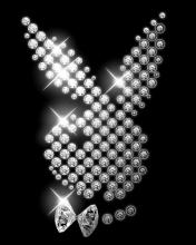 Playmate!!